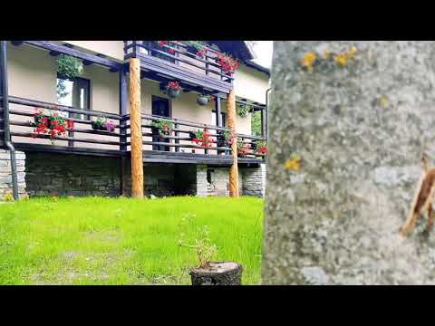 Renovare Completa Casa Traditionala | Cabana de Langa Rau Valea Doftanei