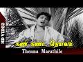 Thenna Marathile Video Song Kan Kanda Deivam Movie S V Ranga Rao Padmini HD Video