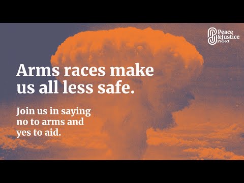 Why the International Arms Trade Must be Controlled ?