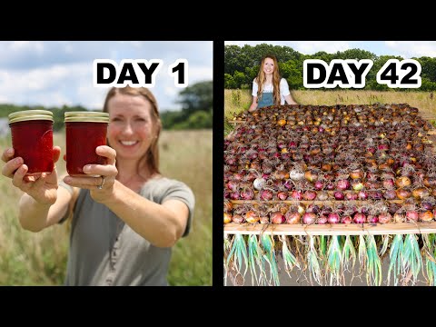 42 days of Growing Food for Self Sufficiency: Epic Harvests & Preserving