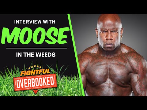 Moose: DeAngelo Williams In The System Is Like Our Dennis Rodman In The NWO
