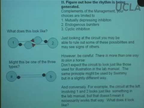 Behavioral Neuroscience VI