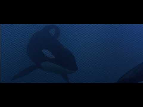 Free Willy The Adventure Home - Willy