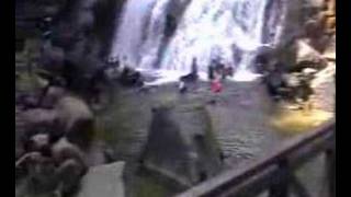 preview picture of video 'Kota Tinggi Waterfall (Malaysia)'