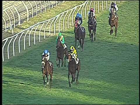 Galoppo 02/12/2015 - 4° corsa