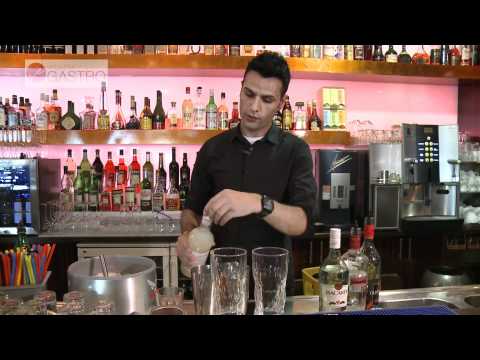 VeGastro - Live In Action - Mango Breeze