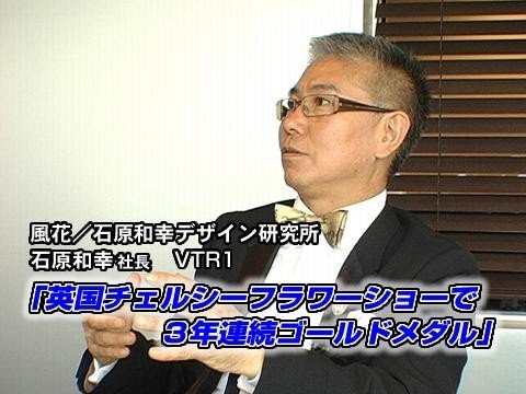 チェルシー フラワー ショー 2018 - シードリップ ガーデン