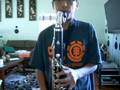 Bass Clarinet - Who's Fooling Who?