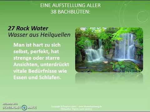Ausführliche Info über die 38 Bachblüten von Dr. Edward Bach - www.bluetenberatung.de Regina Lahner