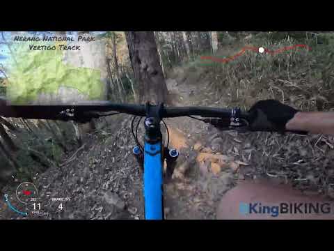 Vertigo  Mountain Bike Track in Nerang National Park - POV