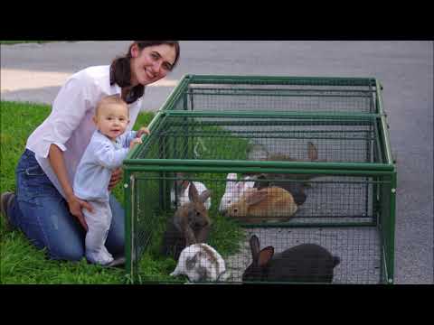 Minifarma aneb z chalupy na statek