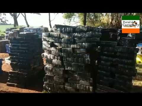 Operativo en Canindeyú FTC - SENAD