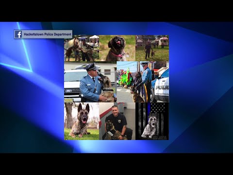 NJ Hackettstown Police K–9 Passes