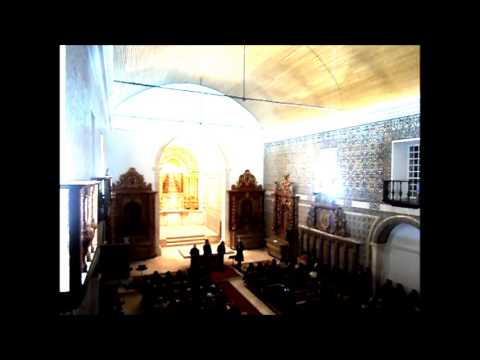 Hallelujah - Alexandra Burke- Cover by Teresa Radamanto