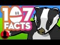 107 Mr Weebl Facts You Should Know Cartoon Hangover