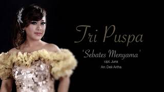 Download lagu Tri Puspa - Sebates Menyama (Video Lirik) mp3