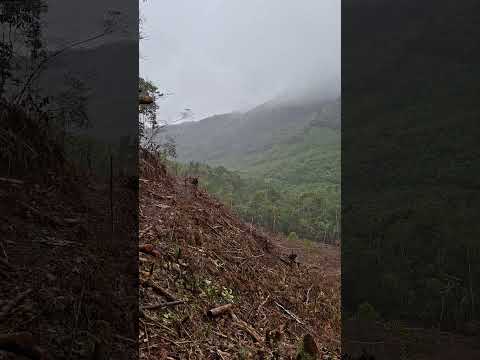 Santa Cruz de Río Humberto , distrito de San Ramon