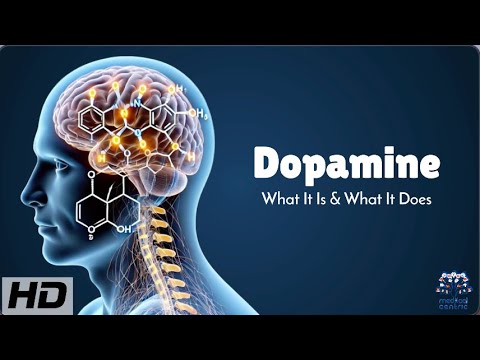 Dopamine Explained: How It Controls Your Brain's Reward System!