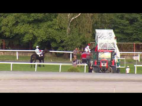 7. dostih - CENA SPOLEČNOSTI KK - Videozáznam Zlatého poháru EŽ Praha 2018 v Chuchli