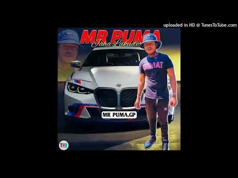 Mr puma Flavio ngoveni