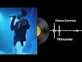 Himuuree Gelana Garomsa Album 2 Sirba Raayyaa Galaanaa Gaaromsaa