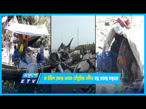 মা ইলিশ রক্ষায় মেঘনা-তেঁতুলিয়া নদীতে বন্ধ রয়েছে মাছধরা | Hilsha | ETV News