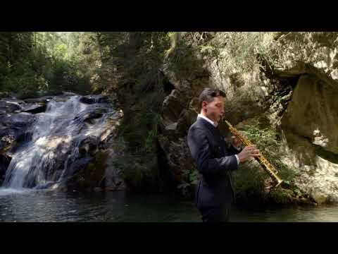 "WALD" - Double Partita n°1 BWV 1002, J.S. Bach - Sandro Compagnon (soprano saxophone)