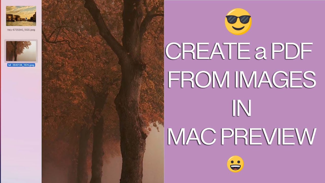 Make a PDF from Images in Mac Preview