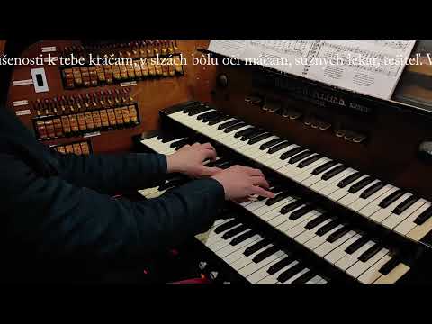 JKS 157 - Ó, môj Bože láskavý (Dóm sv. Alžbety)
