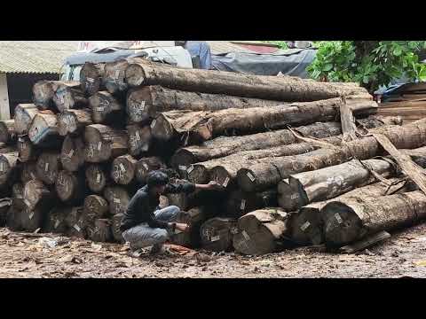 Round matti wood logs