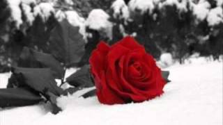 Marlon e Maicon Tudo CULPA minha