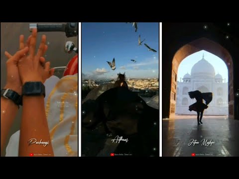 501+ Tiktok Status Video Download (NEW Short Video) Free Tik Tok Whatsapp Status 501+ Tiktok Status Video Download (NEW Short Video) Free Tik Tok Whatsapp Status