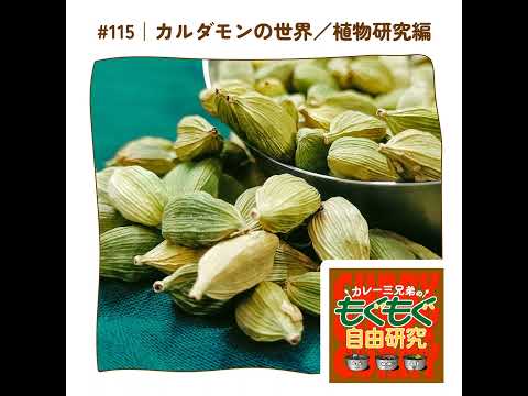 カルダモン 植物