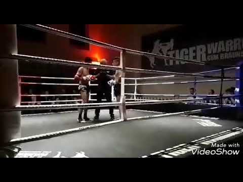 Fight night Braunschweig