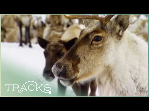 Kamchatka's Nuclear No-Go Zone | Full Documentary