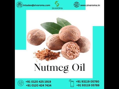 Nutmeg Essential Oil