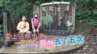 馬胎古道 ｜令人流連忘返的夏日 #森林浴|親子健康遊｜注意！因觀賞本片而造成頭暈恕不負責！請慎入！！！ #叁陳山