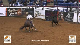 SDP Blue Blood ridden by Matt Koch - 2015 NRCHA Celebration of Champions (FINALS, Cow - WGH)