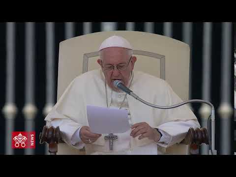 Pope Francis Geneva WCC appeal general audience 2018-06-20