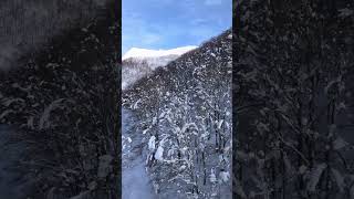 藏王樹冰纜車，共有兩段，這是第一段，越高越美