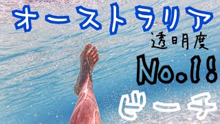 オーストラリア在住の私が選ぶベストビーチ！透明度No.1イーグルベイ！