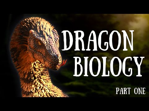 A Natural History of Dragons: Draconology (Part 1)