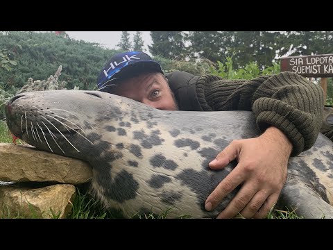 TIHASE VIIMASED PÄEVAD NELJAKÜMNESELT + 100 ROOGA KORMORANIST