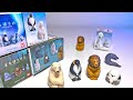 Animals Sea Animals Polar Bear Lion Penguin Eel Bird