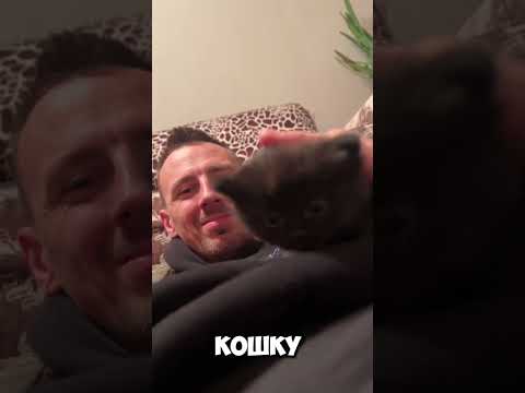 Мы подобрали беременную кошку в деревне и привезли в Москву, она родила, все выпуски