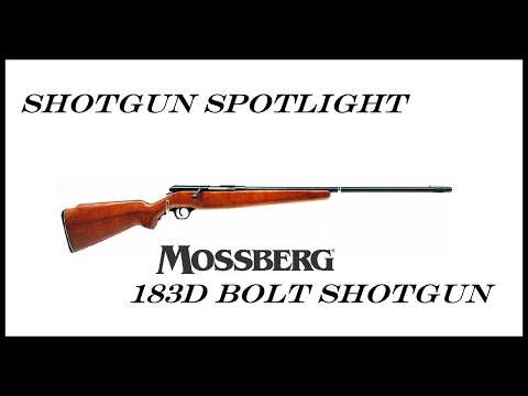 Mossberg 183D  .410 shotgun