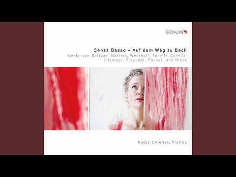 Violin Partita No. 1 in A Major: II. Aria