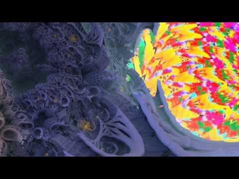 STARVINE Amazing surf fractal 360 Video