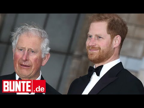 Prinz Harry bricht Schweigen nach Treffen mit Charles
