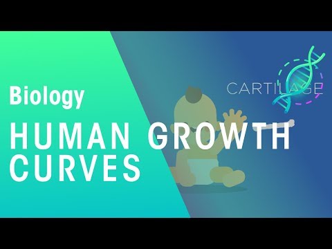 Human growth curves | Physiology | Biology | FuseSchool